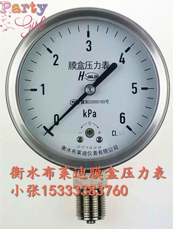 5 压力0-4kpa 型号ye100f 不锈钢膜盒压力表-正压表 精度2.