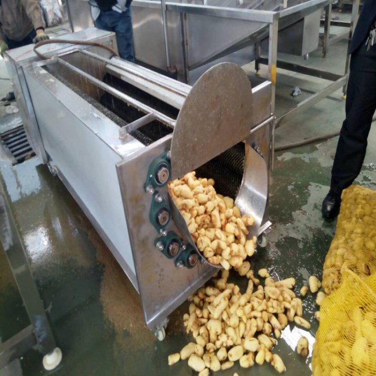 批发采购土豆根薯类蔬菜毛刷清洗去皮机 食品机械 加工厂设备