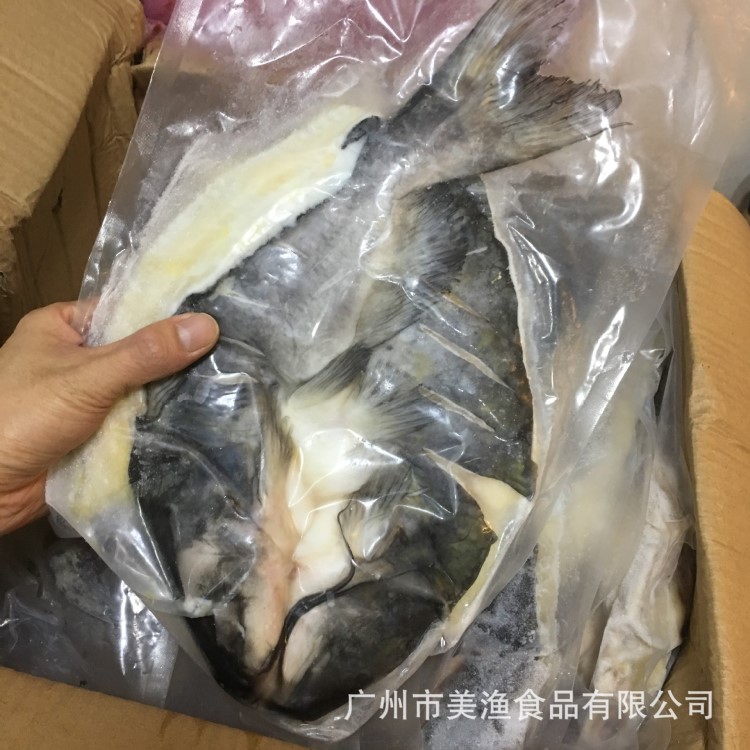 活冻腌制清江鱼黑冷冻清江鱼烤鱼清江鱼黑鮰鱼20斤件11条