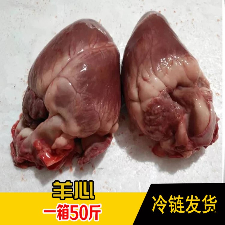 羊心养肝羊杂羊心管心脏羊肉火锅羊下水羔羊心脏1箱50斤