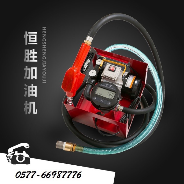 新升级电子定量计价加油泵总成电动抽油泵12v24v220v小型加油机