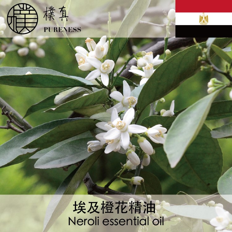 埃及橙花精油neroliessentialoil台湾朴真