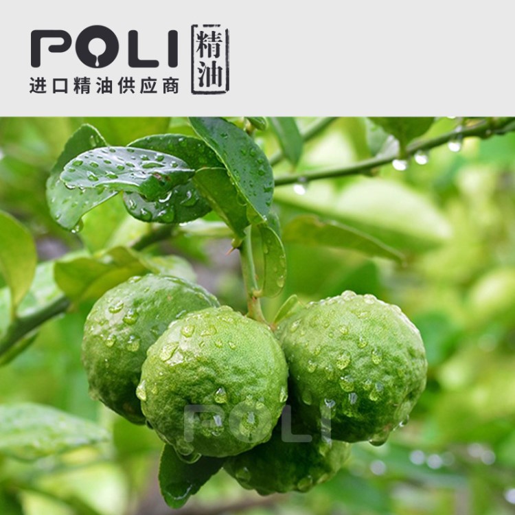 意大利佛手柑精油原料灌装上海品oem配方poli颇黎