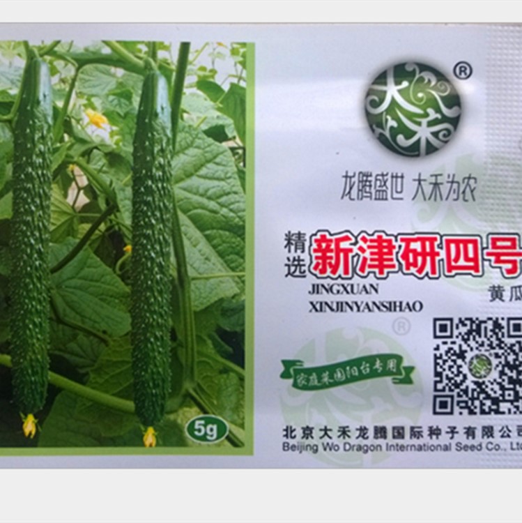 大黄瓜种子新津研四号黄瓜种子天津密刺抗病庭院菜园蔬菜种