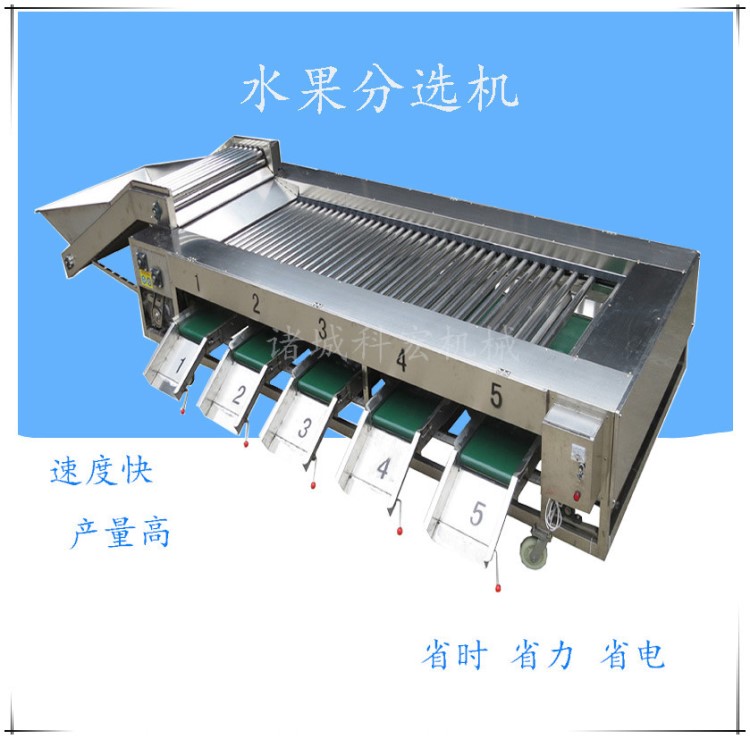 生产供应不锈钢滚杠检果机果蔬检选机果蔬加工设备 链板拣选设备