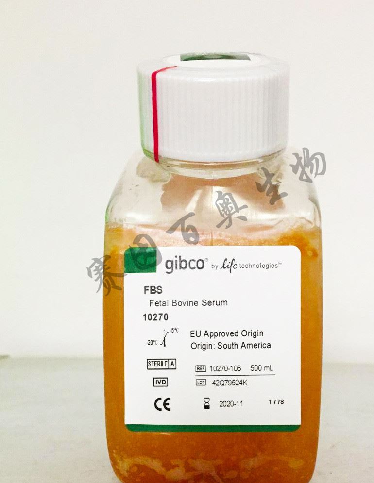 胎牛血清fetalbovineserumgibco10270106南美