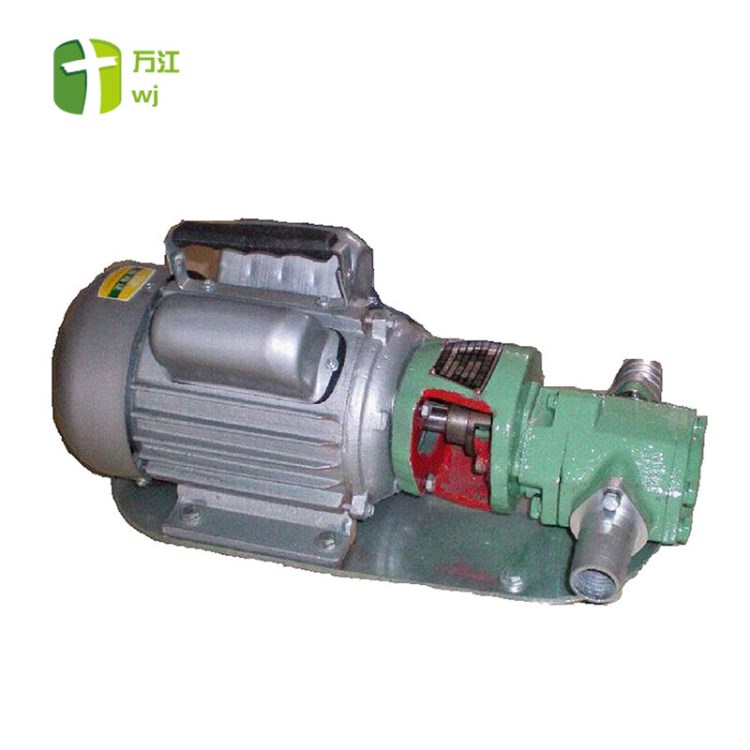 现货 微型齿轮输油泵 手提油泵 wcb30齿轮油泵 小型