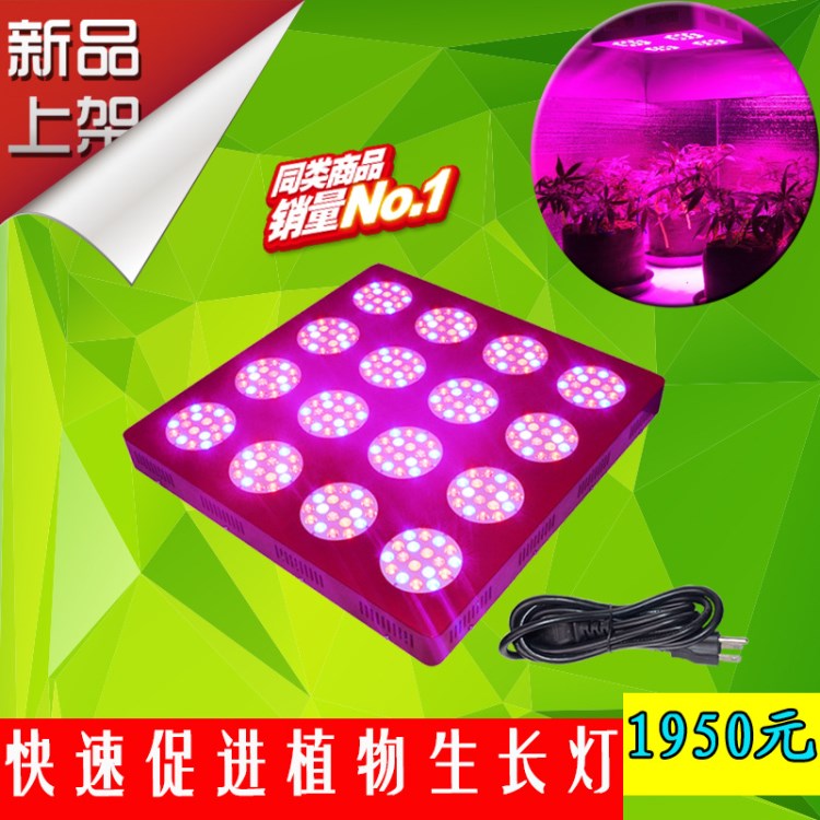 歐美 800W 方形大功率LED植物燈 全光譜植物種植生長燈