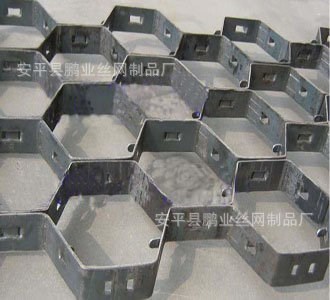 我廠生產(chǎn) 耐熱保溫 錨固 六角形大泥爪龜甲網(wǎng) 歡迎您光顧
