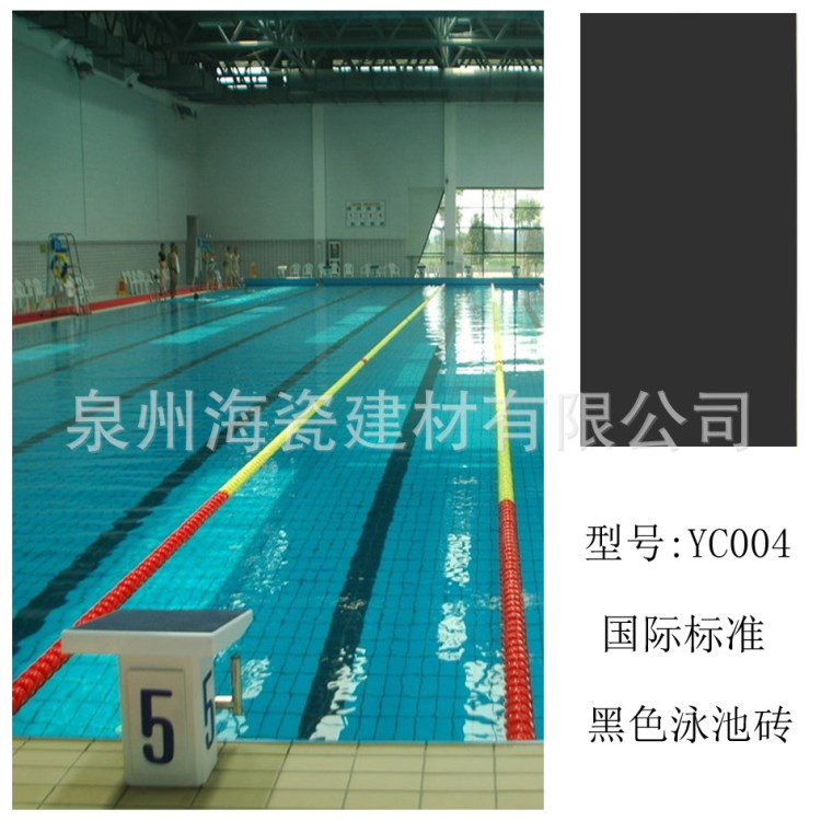 泳池磚 標準 廠家 泳池瓷磚 黑色115x240mm專用泳道線 YC004