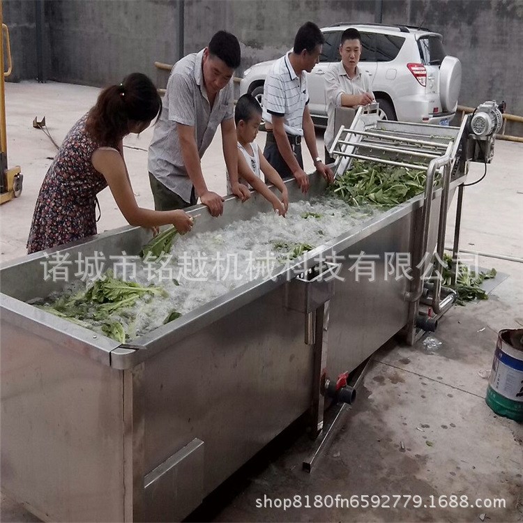 蔬菜清洗機價格 圣女果清洗流水線 果蔬清洗去雜機