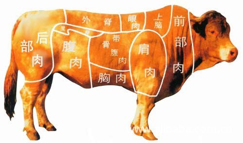 批發(fā)冷凍清真肉類(lèi)加工廠生牛頭