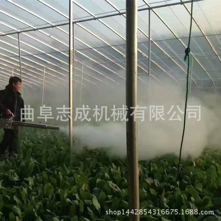  大棚蔬菜打药喷雾器 农用脉冲式弥雾机烟雾机 园林灭蚊机