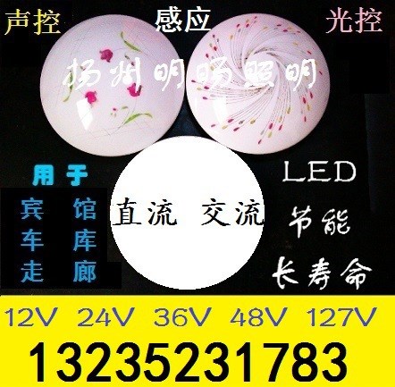 12V 36V 48V汽車吸頂燈 直流 交流車頂燈 聲控光控LED平板燈