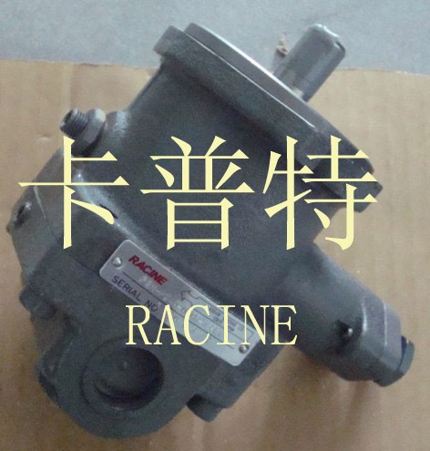 RACINE 葉片泵	PSM-PSDO-07CR-T35  價(jià)格 RACINE