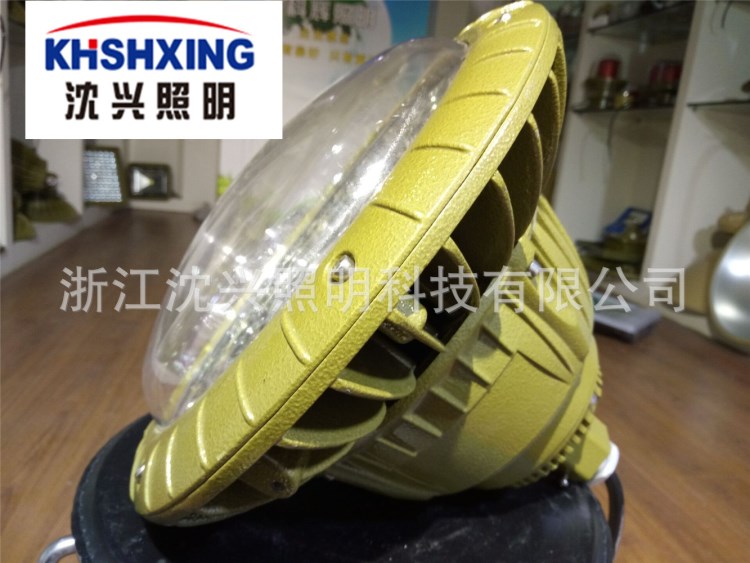 70WLED防爆燈 防爆LED燈70W 40-70WLED燈 LED節(jié)能燈