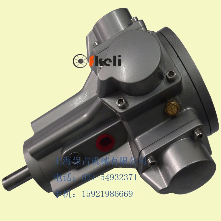 活塞式氣動馬達(dá)  ARM5 法蘭式立式安裝氣動馬達(dá)工業(yè)氣動馬達(dá)