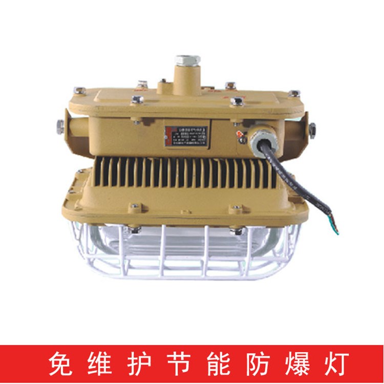 向科科技 免維護(hù)節(jié)能防水防塵防腐燈40W50W防爆低頻無(wú)極燈馬路燈