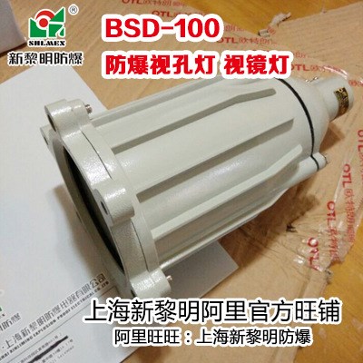 BSD-100防爆視孔燈 防爆視鏡燈 化學(xué)反應(yīng)容器照明燈 反應(yīng)釜觀察燈