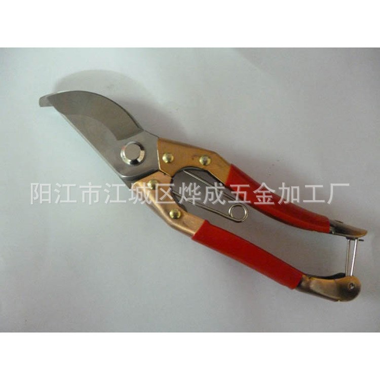 【品質推薦】供應可以剪粗樹枝的樹枝剪 精品園林修剪工具樹枝剪