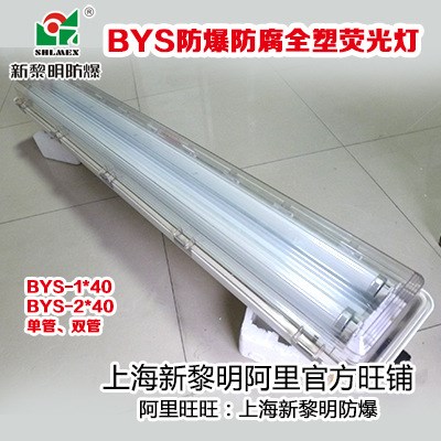 新黎明BYS防爆防腐全塑熒光燈 雙管BYS-2*40W/36W/28W防腐熒光燈