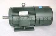 江門變頻調(diào)速電動(dòng)機(jī)YVF2-160M-4 11KW 廣泛用于化工紡織印染行業(yè)