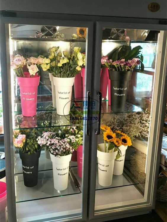 可調節玻璃層架鮮花柜 佳伯不銹鋼風冷鮮花店花坊保鮮展示柜1.5米