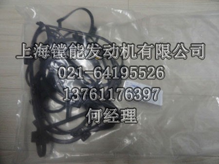 MTU8V/12V/16V 396配件_XP58420400009 異性橡膠墊 GASKET 墊片