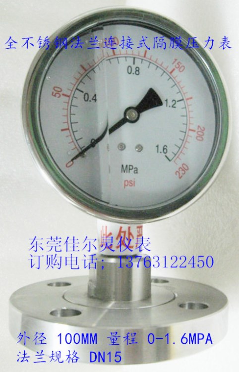 100mm全不銹鋼防腐蝕1.6mpa法蘭連接式隔膜壓力表