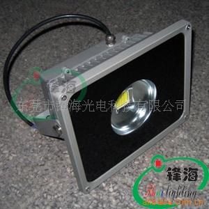 50W LED泛光燈、LED投射燈、LED廣告燈、LED照樹燈（聚光型）