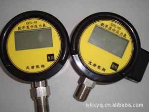 KXYL-6X數字壓力顯示表