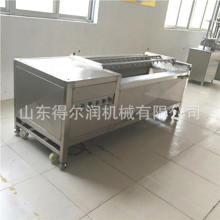 肥城 矛芋頭清洗機 成套設備專車發貨