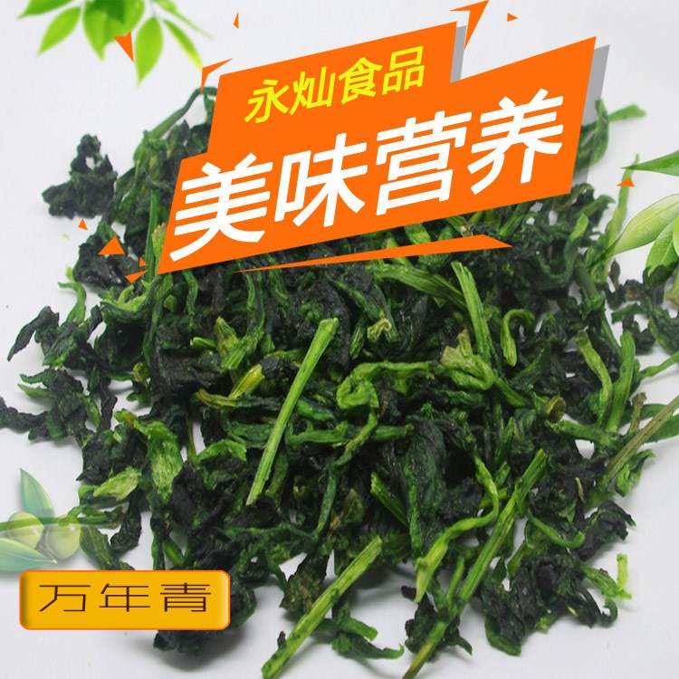 脫水蔬菜  脫水萬(wàn)年青干菜   脫水青梗菜  橄欖菜  菜心 菜干