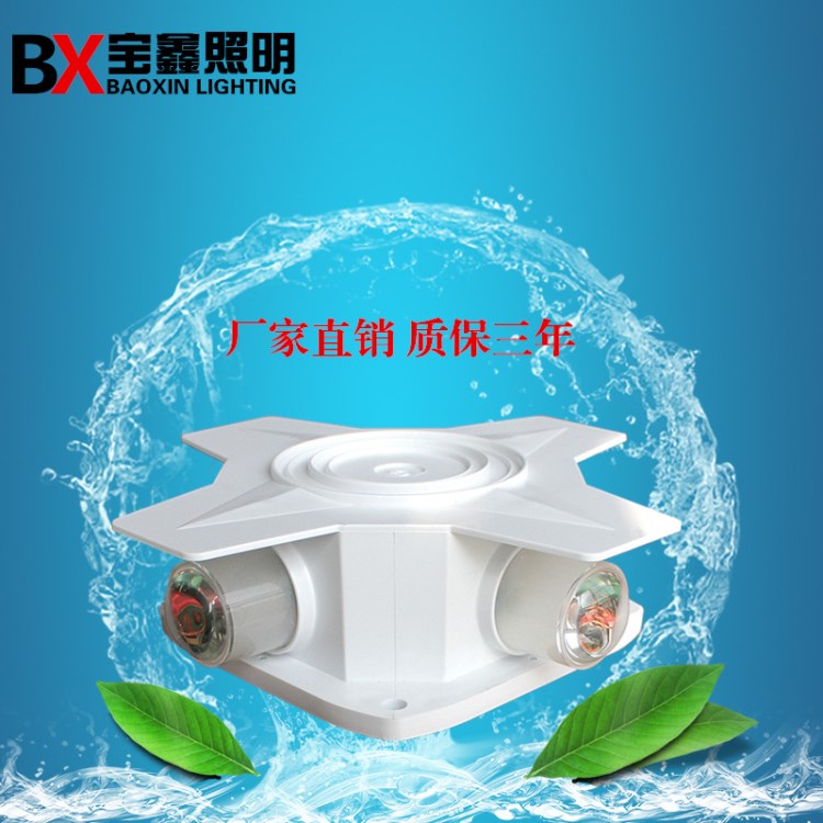 亮化燈具 LED十字星光燈 樓房亮化景觀燈 單色七彩裝飾燈