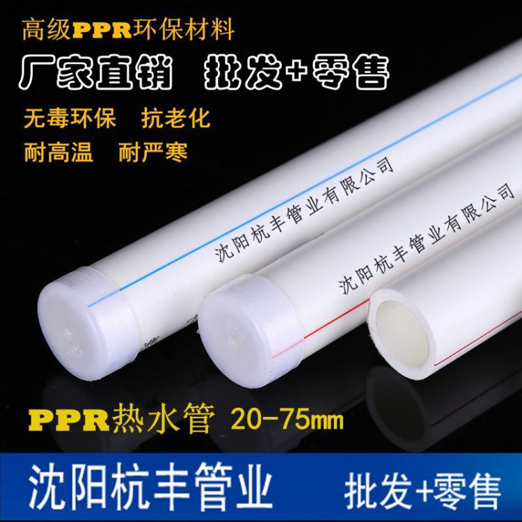 厂家直销PPR冷热水管 PPR暖气管 20-75PPR管 PPR水管 量大从优