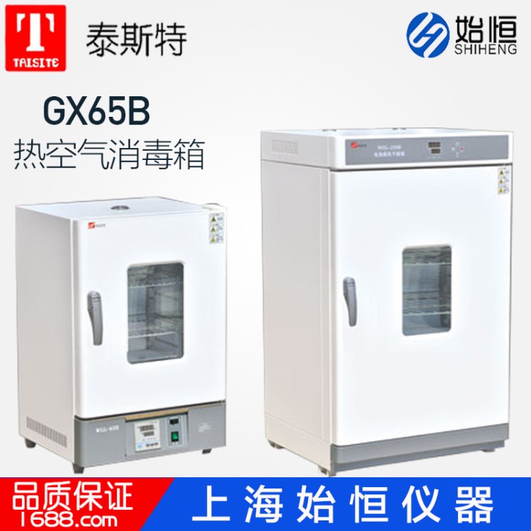 泰斯特 GX65B 热空气消毒箱 干热箱 远红外干燥箱