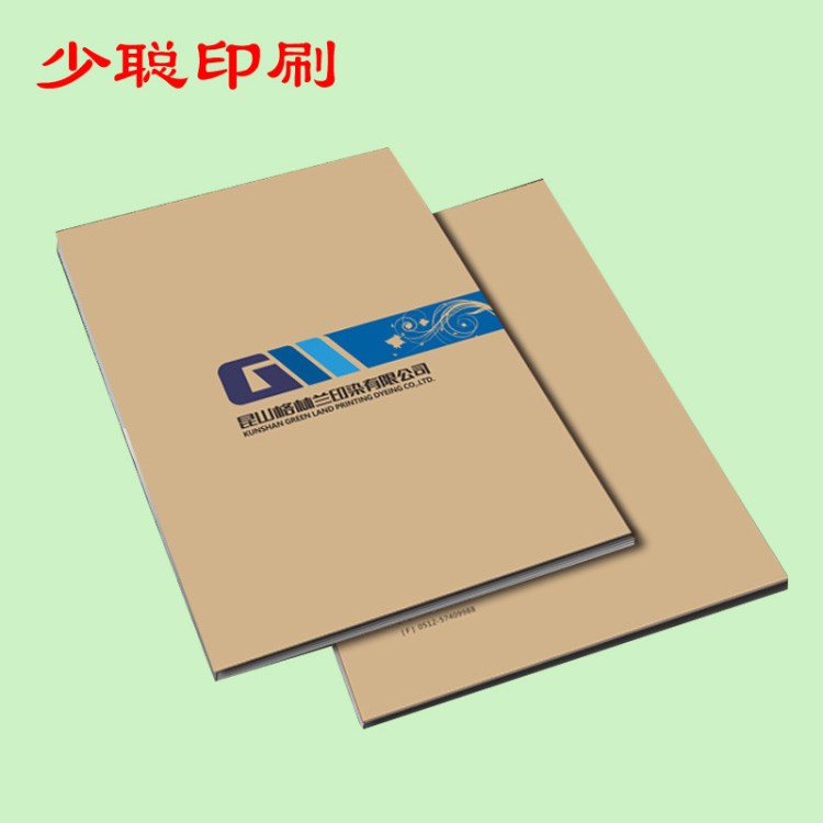 畫冊(cè)印刷 企業(yè)畫冊(cè)定制產(chǎn)品 說(shuō)明書定制 彩頁(yè)單頁(yè)三折頁(yè)印刷包郵