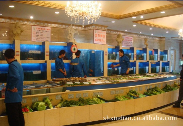 上海大酒店海鮮池、大型觀賞水族、魚缸設計、施工、加工