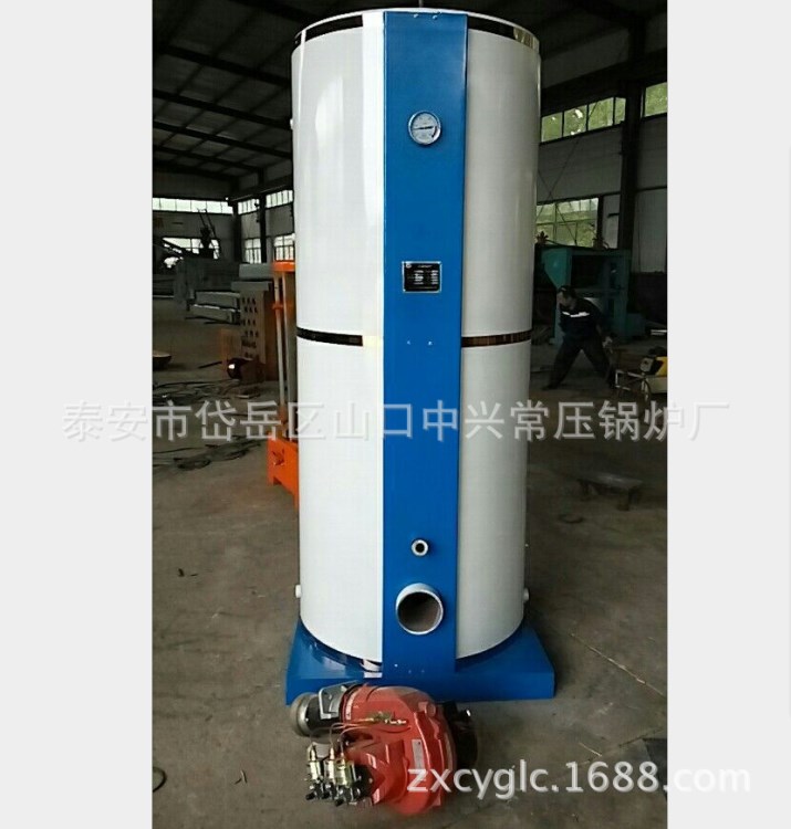 0.3噸立式蒸汽鍋爐 起壓快 熱效率高 蒸汽鍋爐 燃?xì)馊济赫羝仩t