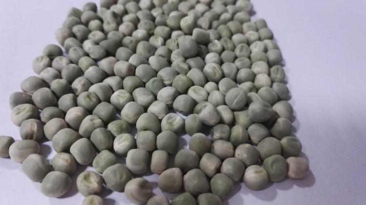 加拿大方形綠豌豆  青豆罐頭 速凍青豆 什錦菜 糖納豆 油炸