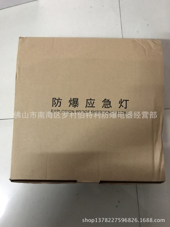 防爆应急灯BCJ消防应急灯具LED防爆双头应急灯厂价供应BCJ-2x20