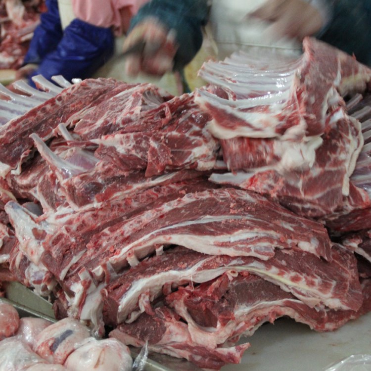 清真 冷鮮 冷凍 新鮮 燒烤 肉類 簡加工 食品 羊排