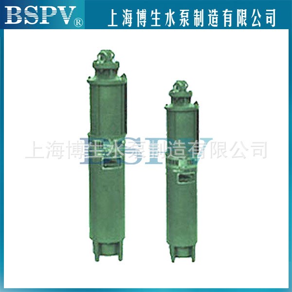 200QJ20-39/3型深井潛水泵【廠家直銷上海博生水泵老品牌】
