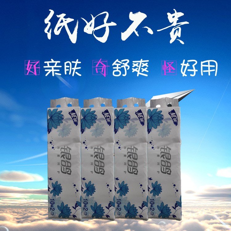 廠價一件代發(fā)衛(wèi)生紙卷紙紙巾銀鴿衛(wèi)生紙一提12卷800克