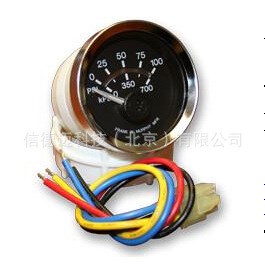 Murphy/摩菲 EG21P-100-12 (05702397) 電動壓力表