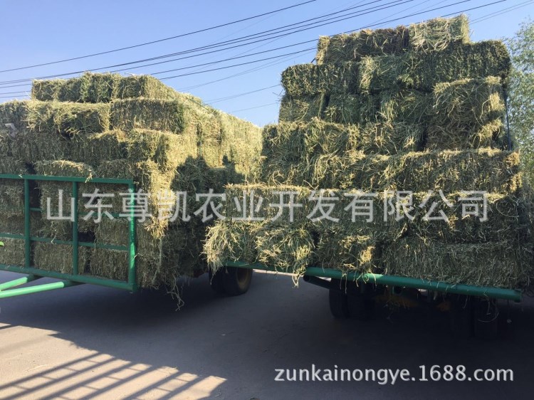 2017优级饲料苜蓿草捆/草颗粒头茬苜蓿草自产自销支持小包装