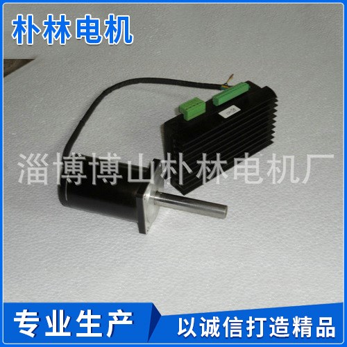 大量出售低噪音微型電機(jī) 高速直流無刷電機(jī)60WS3-100