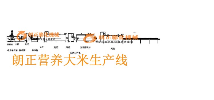 黃金米生產(chǎn)線 方便米飯加工設(shè)備生產(chǎn)線 營養(yǎng)大米生產(chǎn)線