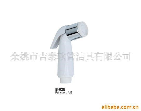 供應(yīng)塑料花灑 B-02B