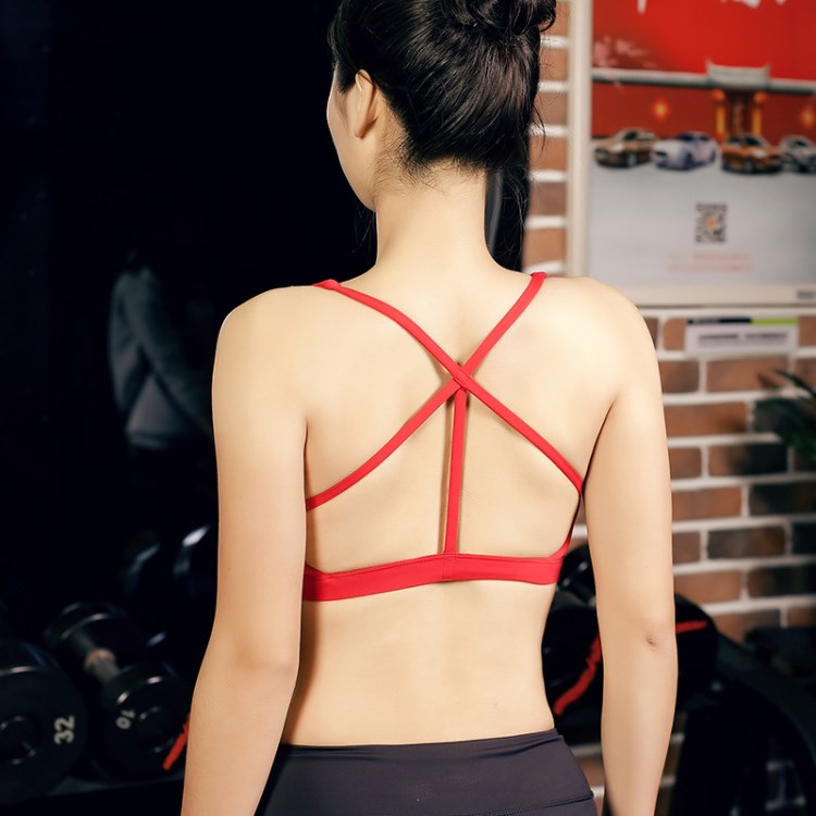 X705美背性感運(yùn)動內(nèi)衣健身文胸速干透氣高彈后三帶文胸?zé)o鋼圈